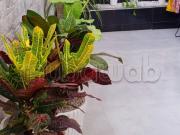 Un belle apparemment a vendre a hay riad