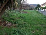 UN BONITO TERRENO EN CASTILLO DONDE EDIFICAR TU FUTURO
