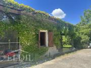 Un havre de paix en ville