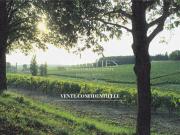 Un secret transmis à travers les siècles 619m² Saint Emilion