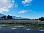 UNA GRAN PARCELA RÚTICA A UN PASO DE VILLENA