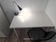 UNA HABITACIÓN LIBRE ALQUILER DE HABITACIÓN EN PISO...