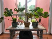 Una joya en la mejor urbanización de Murcia