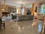 “Una joya escondida en el corazón de Acapantzingo: 3,300...