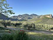 Una oportunidad excepcional para adquirir una finca de...