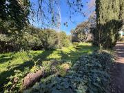 UNA PARCELA IDEAL DE 956 M2 EN EL BRILLANTE