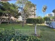 Una pequeña joya en la Playa de Gandía