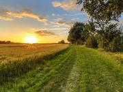 Unbebautes Grundstück Grünfläche