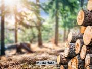 Unbebautes Grundstück/Waldfläche