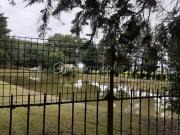 Une maisonnette avec un étang Une maisonnette avec un étang