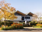 Unfold a Masterpiece at Origami House