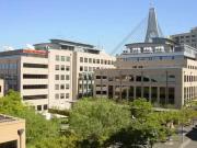 UNFURNISHED/42 Saunders Street, Pyrmont, NSW 2009