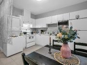 Unfurnished, Beautiful 2 Bed 1 Bath Basement In Burke...