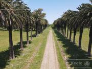 Único campo en venta de 256 has sobre Ruta 2 Ideal...