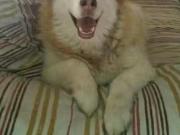 ¡Renta! Habitación en Calle Victoria Kent