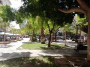 Unidad comercial en Elche