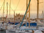 Unidades comerciales en alquiler cerca del Puerto de...