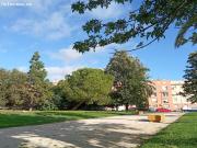 UNIFAMILIAR EN JACARANDA ZONA SUR