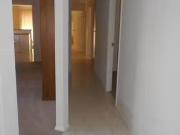 Cozy 12 Forsyth Grove, Felixstow, SA 5070