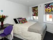 Cozy 1 BA 1 bedroom house for rent in Greenland, Durham, DH1