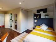 Cheap 1 BR Bronze Studio Plus