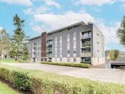 Cheap 2 BA 2 bedroom apartment for rent in Newsom Place,...