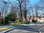 Charming 2 bedroom apartment for rent in Clarendon...