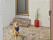 Charming 3 BR 8/5 Aquila Court, Mermaid Waters, QLD 4218