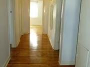 For Rent! 42 Devitt Avenue, Payneham South, SA 5070