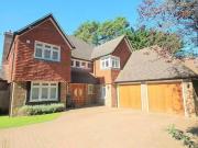 Cheap 4 BA 5 bedroom house for rent in 5 bedroom...