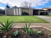 Cheap 4 BR 50 Suzanne Avenue, Morphett Vale, SA 5162