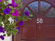 Just in! 58 Surrey Street