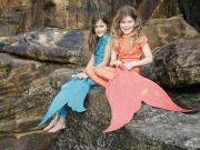 Unique business opportunity for a mermaid at heart