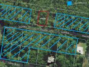 Unique Conservation Land Surrounded by Protected Nature