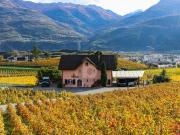 UNIQUE DANS UN CADRE IDYLLIQUE !