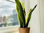 Charming Flat to rent in Hackney Road, London E2