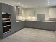 Just in! Honey Lane, Warwick