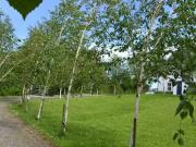 Just in! Rosscarbery House, Rosscarbery, Cork
