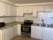 Unit Bsmt 690 Crawford St