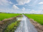 Unit Details: 1272 sqft 3 Rooms 2 Bathroom 1 Car Park...