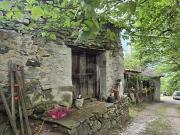 UNTER DER NATUR, UM WIEDERHERGESTELLT ZU WERDEN