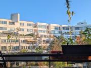 Unterkunft in Berliner WG: 3 Nächte NovDez, 4 Personen