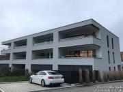 Unweit vom Garnmarkt wunderbare 2 Zimmer Garten Wohnung