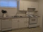 Updated 2 Bedroom Basement Suite • $1,500/month...