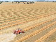 URALLA AGGREGATION Cropping and livestock production