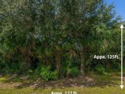 Urban Ave, Port Charlotte, Plot For Sale