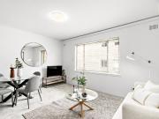 Urban Haven
