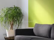 URBANER LIFESTYLE MODERNES WOHNEN Mietwohnung mit Loggia