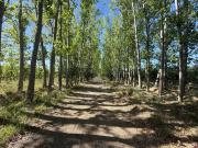 Urbanizacion Jardin de Mercedes Allen