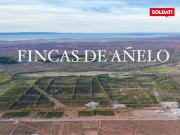 Urbanización única en Vaca Muerta